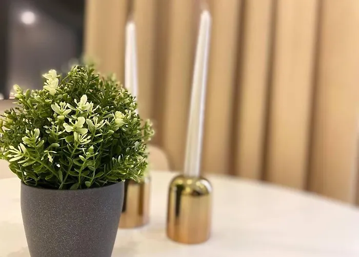 Rose 3 Wonderful 1+1 Cleopatra * Alanya