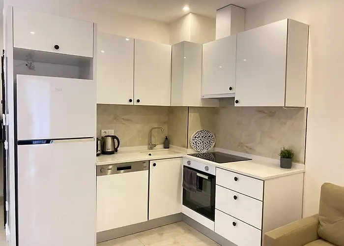 Rose 3 Wonderful 1+1 Cleopatra